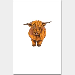 Heilan Coo Posters and Art